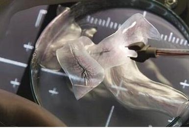 异星觉醒经典台词 异星觉醒经典对白