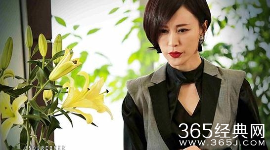 卧底归来结局是什么 卧底归来结局警方得到林莺罪证了吗