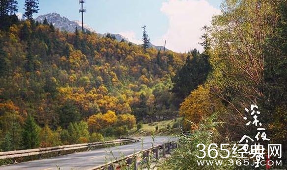 黄磊电影深夜食堂是在哪里拍的 深夜食堂取景地介绍