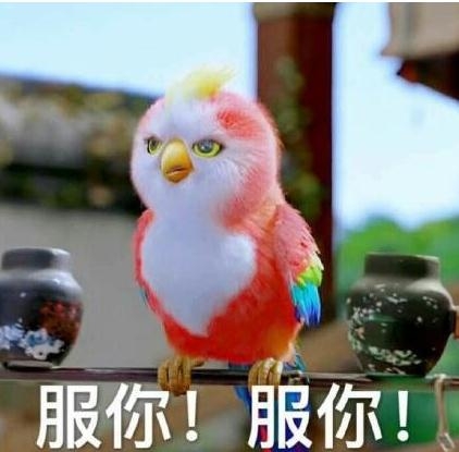 楚乔传鹦鹉是玩具吗 楚乔传抠图玩具鹦鹉