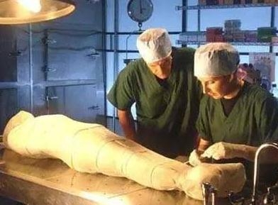 新木乃伊电影中木乃伊是怎么做出来的 古埃及木乃伊基因和现代埃及人的基因对比结果