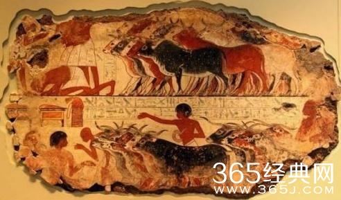 新木乃伊电影中木乃伊是怎么做出来的 古埃及木乃伊基因和现代埃及人的基因对比结果