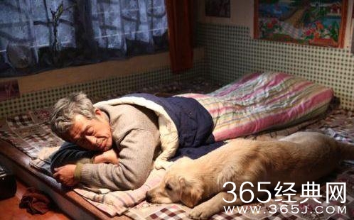 电影忠爱无言剧情讲的是什么 电影忠爱无言故事原型是什么