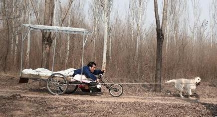 电影忠爱无言剧情讲的是什么 电影忠爱无言故事原型是什么