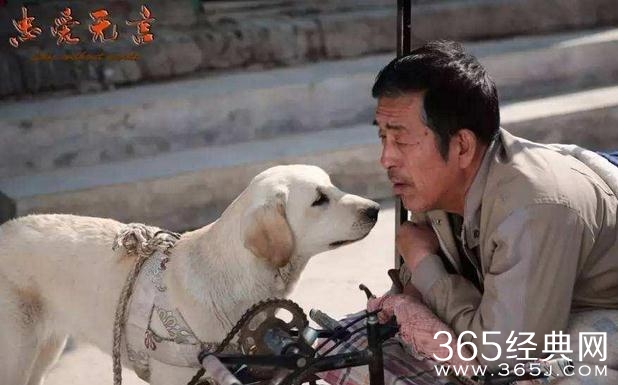 电影忠爱无言剧情讲的是什么 电影忠爱无言故事原型是什么