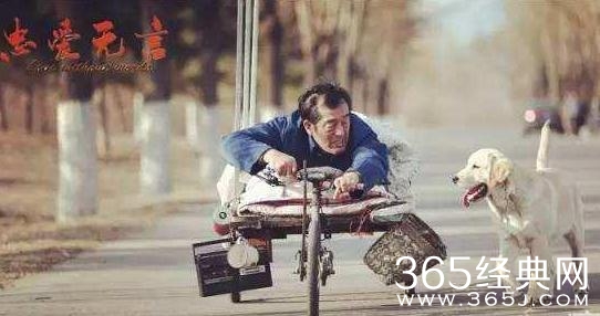 电影忠爱无言剧情讲的是什么 电影忠爱无言故事原型是什么