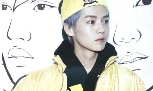 鹿晗今年的新剧有哪些 鹿晗今年要接拍哪些新剧