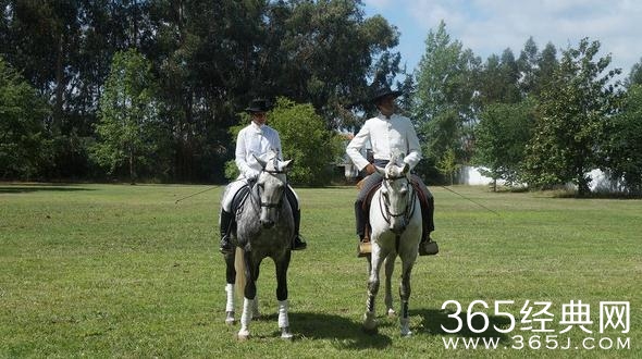 葡萄牙剧你是我爸爸1-30分集剧情介绍  葡萄牙剧你是我爸爸分集剧情概述