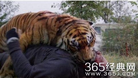 美剧行尸走肉第6季结局如何 美剧行尸走肉第6季结局剧情介绍