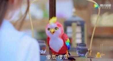 楚乔传左满仓养的宠物是天竺鼠吗 楚乔传左满仓养的小动物是不是天竺鼠