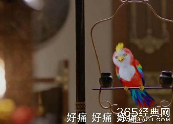 楚乔传原著苍梧鸟结局如何 楚乔传原著苍梧鸟死了吗怎么死的