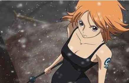 海贼王娜美和索隆的身世是什么 海贼王娜美和索隆的家人什么时候登场