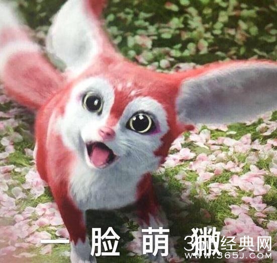 上古情歌阿獙是什么动物 上古情歌山海经神兽獙獙介绍