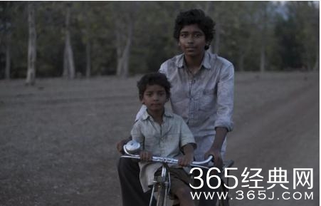 雄狮剧情讲的是什么 雄狮好看吗