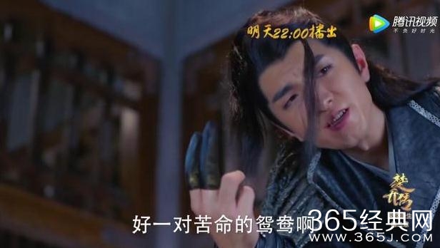 楚乔传赵西风结局是什么 楚乔传赵西风结局死了吗怎么死的