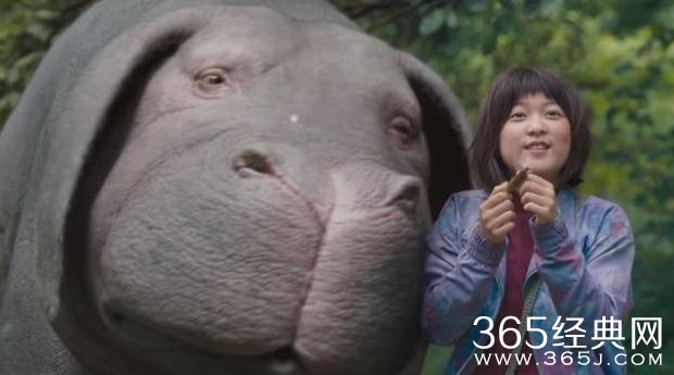 电影玉子剧情讲的是什么 电影玉子看点有哪些