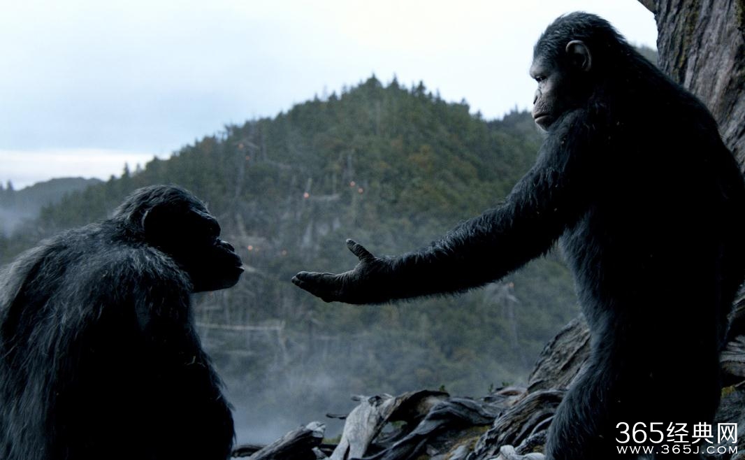 猩球崛起3终极之战剧情讲的是什么 猩球崛起3终极之战是谁改变了人猿战争
