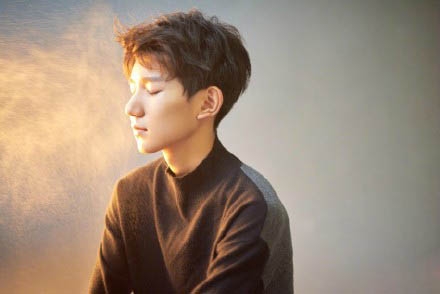 绝不会让王源走这条路是什么意思 王源王延芬资料照片遭扒皮