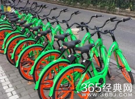 町町单车老板是谁资料照片遭扒 町町单车老板卷款跑路是真的吗