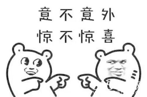 意不意外惊不惊喜是什么意思 意不意外惊不惊喜是什么梗