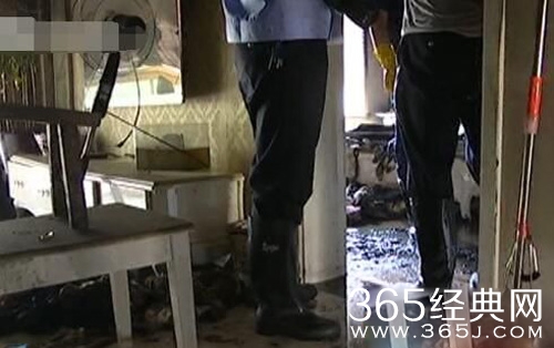 安徽保姆和男主人发生地下情杀害男主妻女纵火烧家事件始末