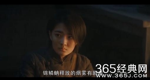 鬼吹灯之黄皮子坟16-18集百度云资源下载 鬼吹灯之黄皮子坟16-18集百度网盘