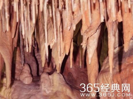 鬼吹灯之牧野诡事石髓是什么 鬼吹灯是牧野诡事现实中有石髓吗