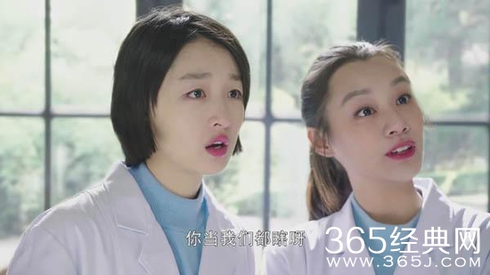 春风十里不如你百卉是什么人 春风十里不如你百卉喜欢小白吗