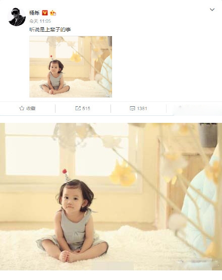 杨烁女儿正面照曝光 杨烁有几个孩子