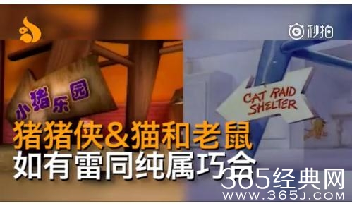 猪猪侠抄袭猫和老鼠是真的吗 猪猪侠抄袭猫和老鼠视频片段对比