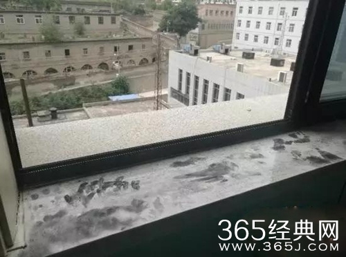 榆林产妇马某是怎么死的 榆林产妇生前照片资料曝光