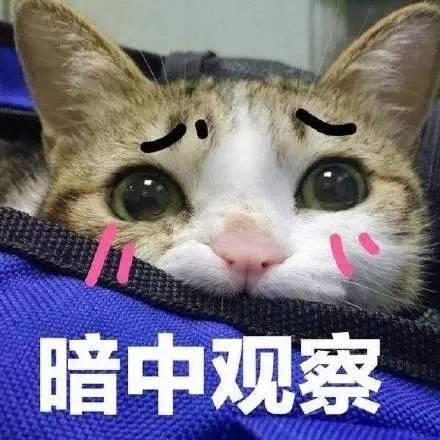 暗中观察jpg ​是什么梗 暗中观察jpg ​是什么意思