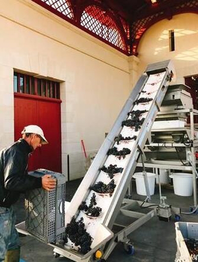 赵薇400年酒庄内部图片 赵薇400年酒庄装潢复古奢华