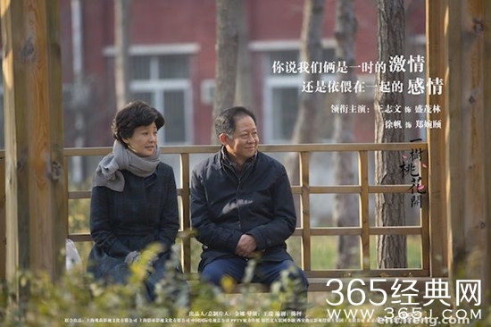 一树桃花开什么时候播 一树桃花开在哪个台播