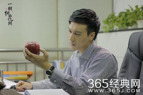 一树桃花开陶蕊为什么离开盛誉 一树桃花开陶蕊离开盛誉的原因是什么