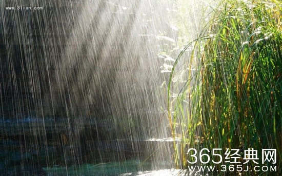 有关下雨天的唯美句子