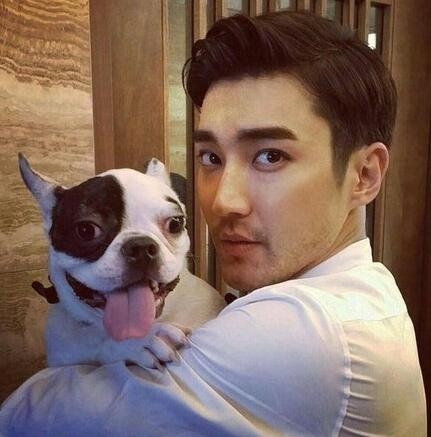 崔始源斗牛犬咬死邻居真相始末 崔始源斗牛犬咬死邻居是真的吗