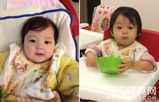 小泡芙幼时照片曝光 小泡芙幼时照片对比