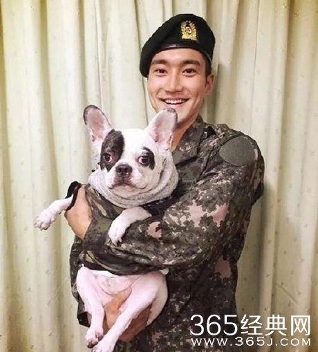 崔始源爱犬咬人死者血液报告全文 死者败血症是什么引起的