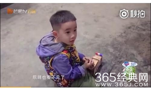 应采儿怎么回应陈小春落泪的 陈小春落泪原因