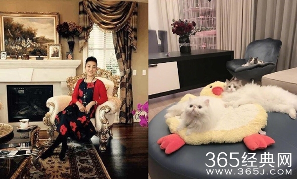 范冰冰北京豪宅在什么地方 范冰冰北京豪宅内景曝光