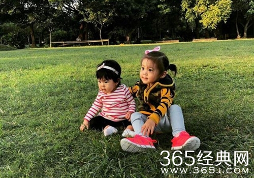 修杰楷会带咘咘上爸爸去哪儿第6季吗 修杰楷带咘咘上爸爸去哪儿第6季是真的吗