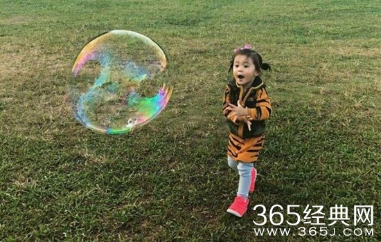 修杰楷会带咘咘上爸爸去哪儿第6季吗 修杰楷带咘咘上爸爸去哪儿第6季是真的吗