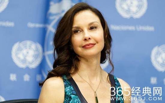 一条狗的回家路电影讲了什么故事 一条狗的回家路电影剧情介绍