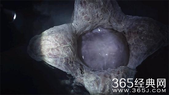 【侃侃殿影】第三期：都觉得这群异形可怕，人类又犯了哪些致命错误？