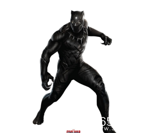 黑豹电影有哪些角色 黑豹电影角色海报