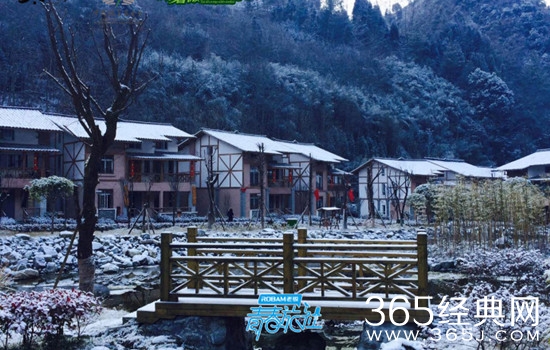 青春旅社调至周日档播出是真的吗 青春旅社调至周日档播出原因揭秘