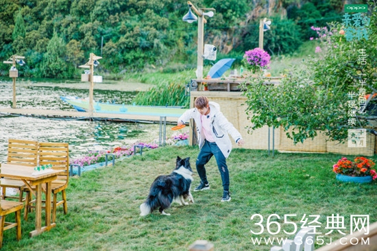 【综艺甜饼】第3期：双十一当天除了买的开心，更要看的舒心！