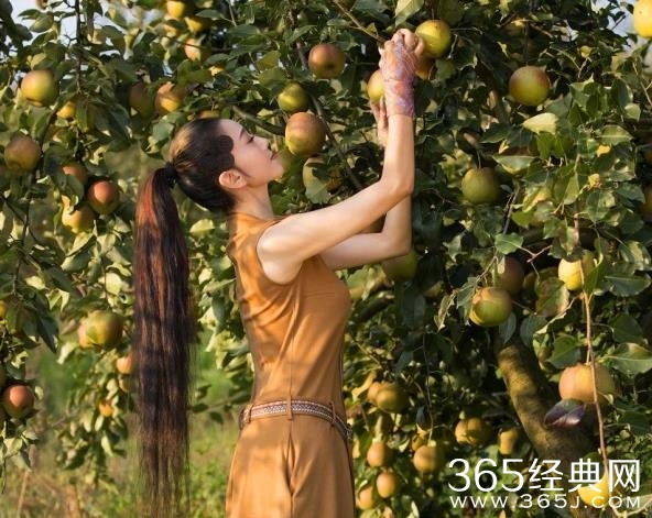 59岁杨丽萍生日曝写真似少女 59岁的杨丽萍为什么不显老