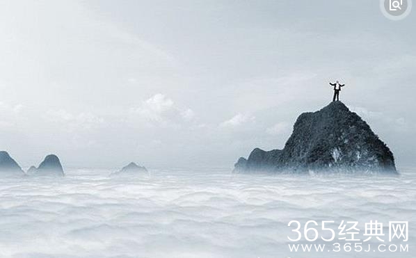 机会就是牛尾巴